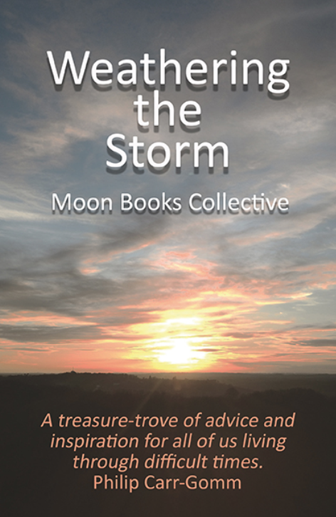 Weathering the Storm by Moon Books